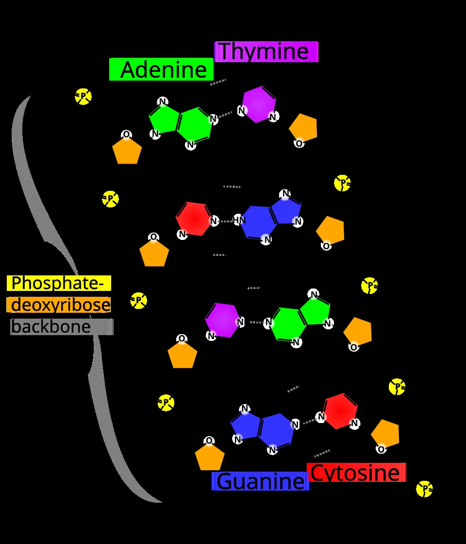 AI Mines Prion Proteins for Hidden Antibiotics — And Finds 1,179 of Them