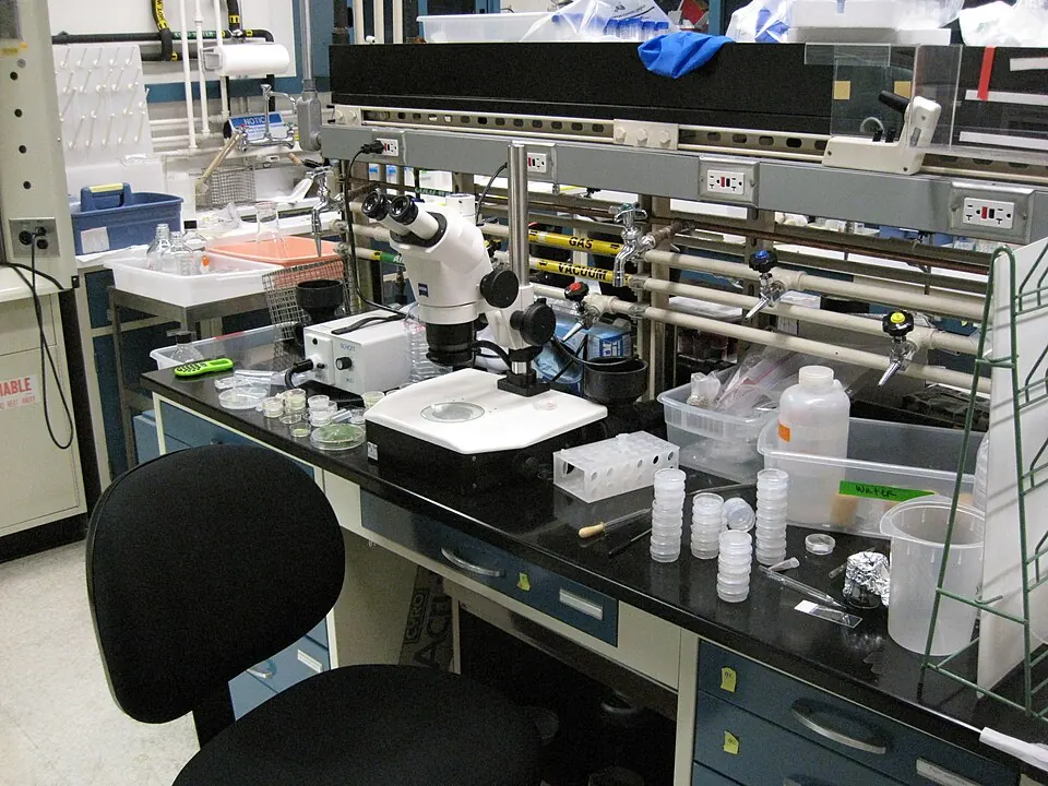 Scientists Build the First Synthetic Cell From Scratch — It Grows, Replicates, and Divides